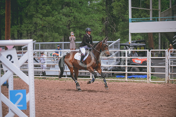 DSC_0848