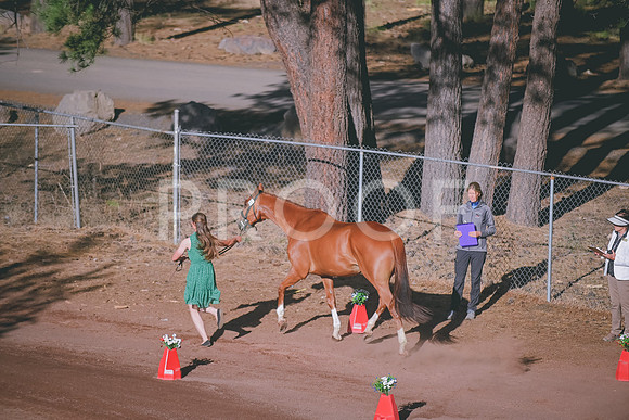 DSC_0314