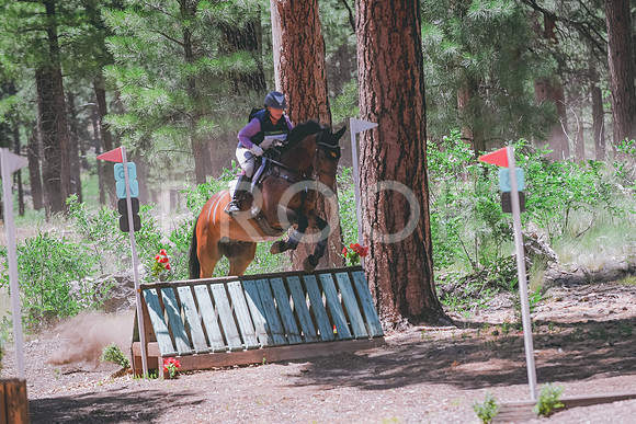 DSC_0773