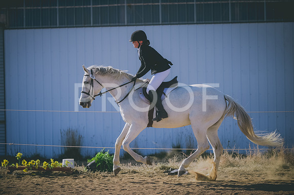 JJS_1124