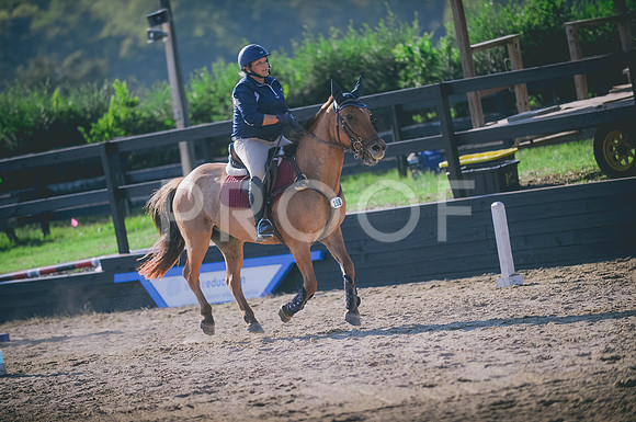 JJS_7338