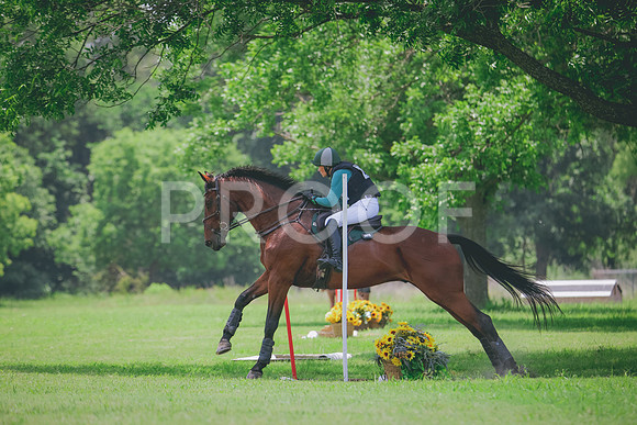 RWP_3258