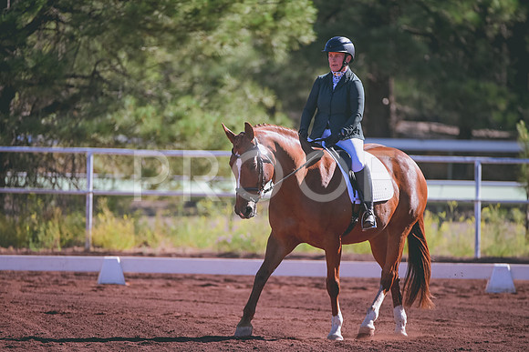 DSC_6174