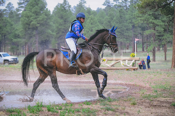 DSC_4174