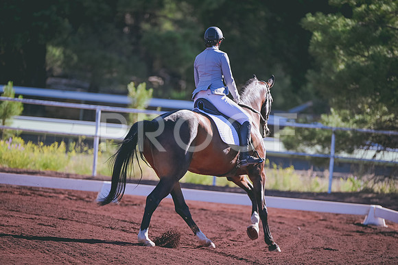 DSC_2738