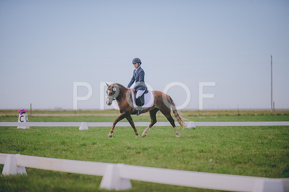 JJS_1338