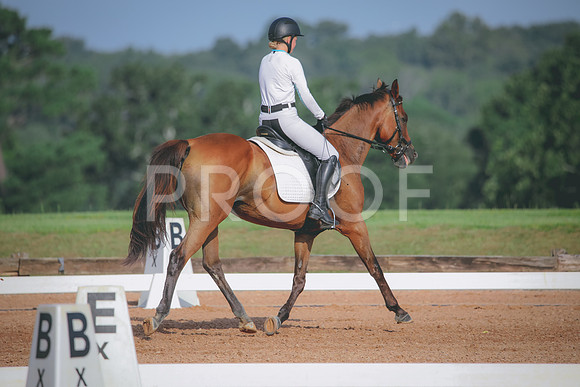 RWP_4461