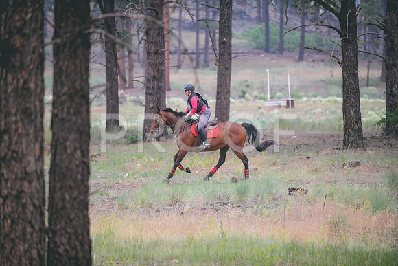 DSC_5128