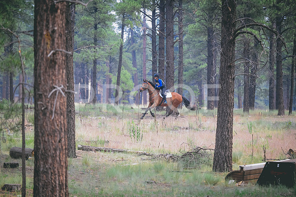 DSC_5271