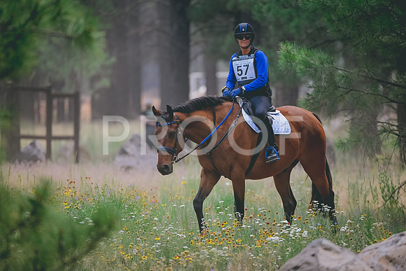 DSC_1664