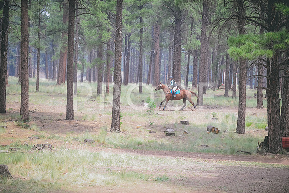 DSC_5493