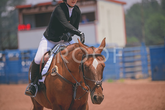 DSC_7503 copy