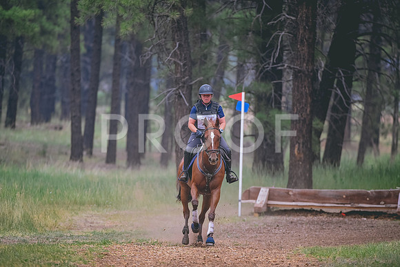 DSC_7608