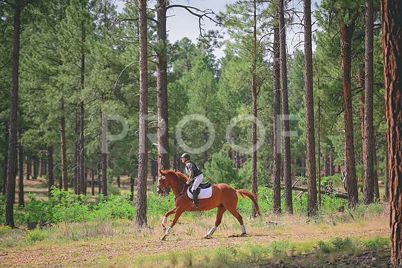 DSC_6798 copy