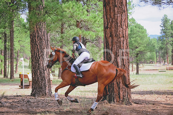 DSC_6895 copy