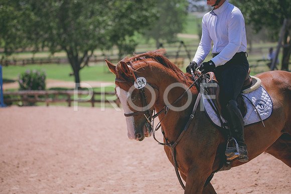 RWP_5610