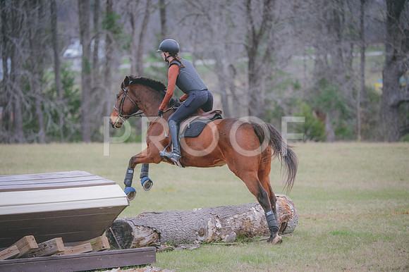 JJS_0528
