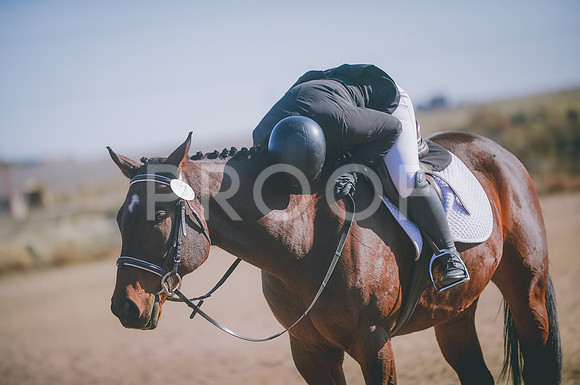 JJS_1605