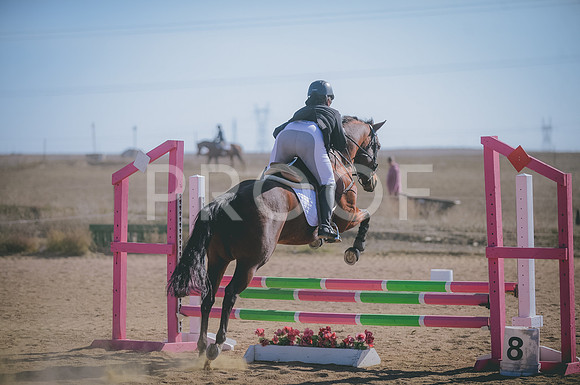 JJS_2579