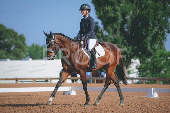 RWP_3831