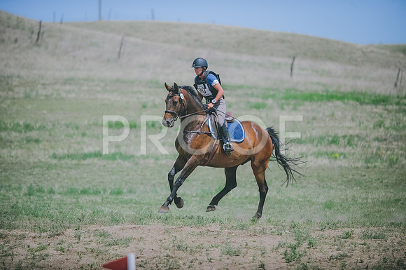 JJS_0784A