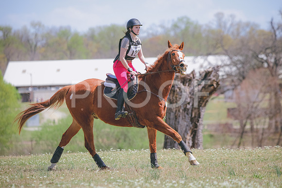 RWP_0442