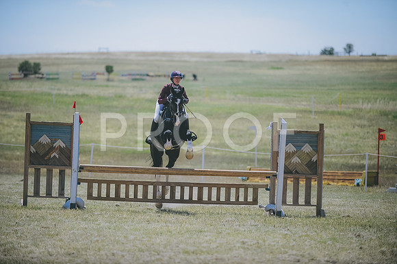 JJS_8585