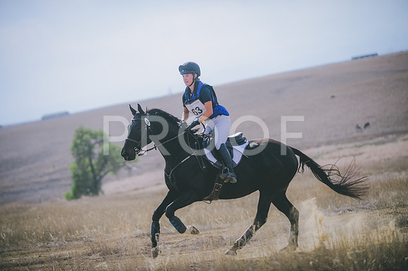 JJS_0480