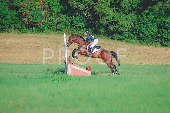 BYR_6452