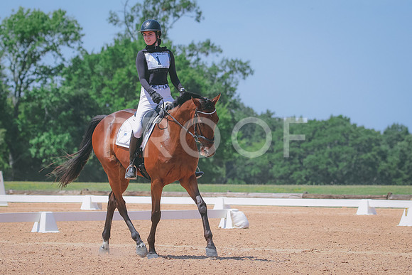 RWP_6997