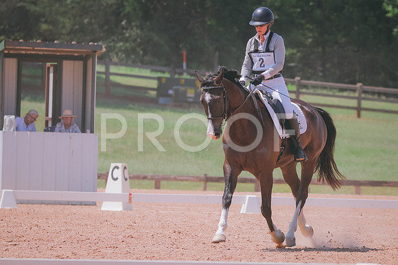 RWP_7019