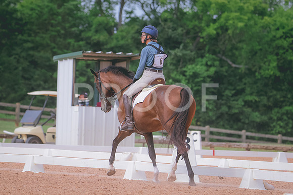 RWP_6339