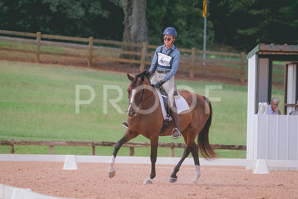 RWP_6351