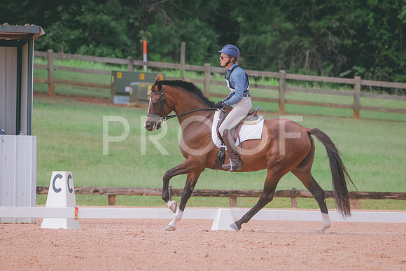RWP_6381