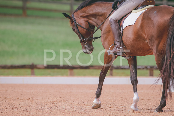 RWP_6386
