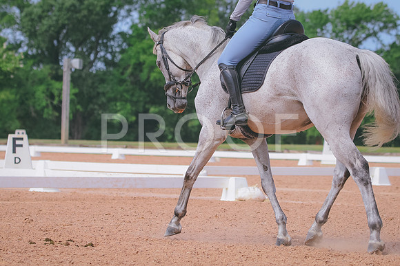 RWP_6425