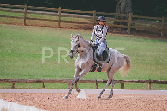 RWP_6447
