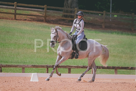 RWP_6452