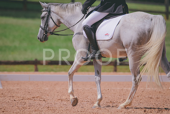 RWP_6574