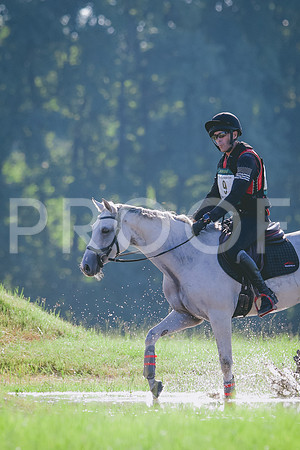 RWP_7894