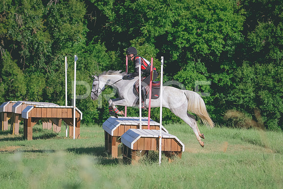 RWP_7919