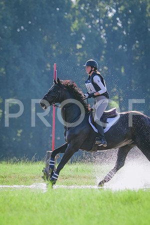 RWP_7941