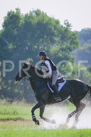 RWP_7951
