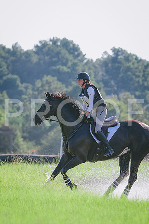 RWP_7955