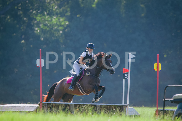 RWP_7965