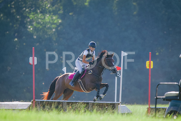 RWP_7966
