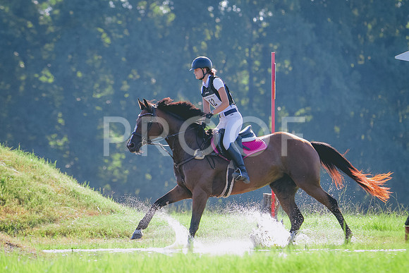 RWP_7972