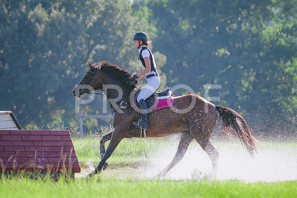 RWP_7984