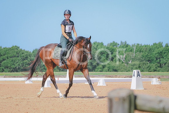RWP_6088