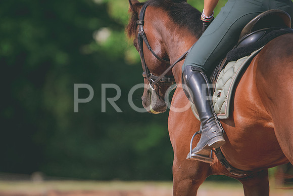 RWP_6117
